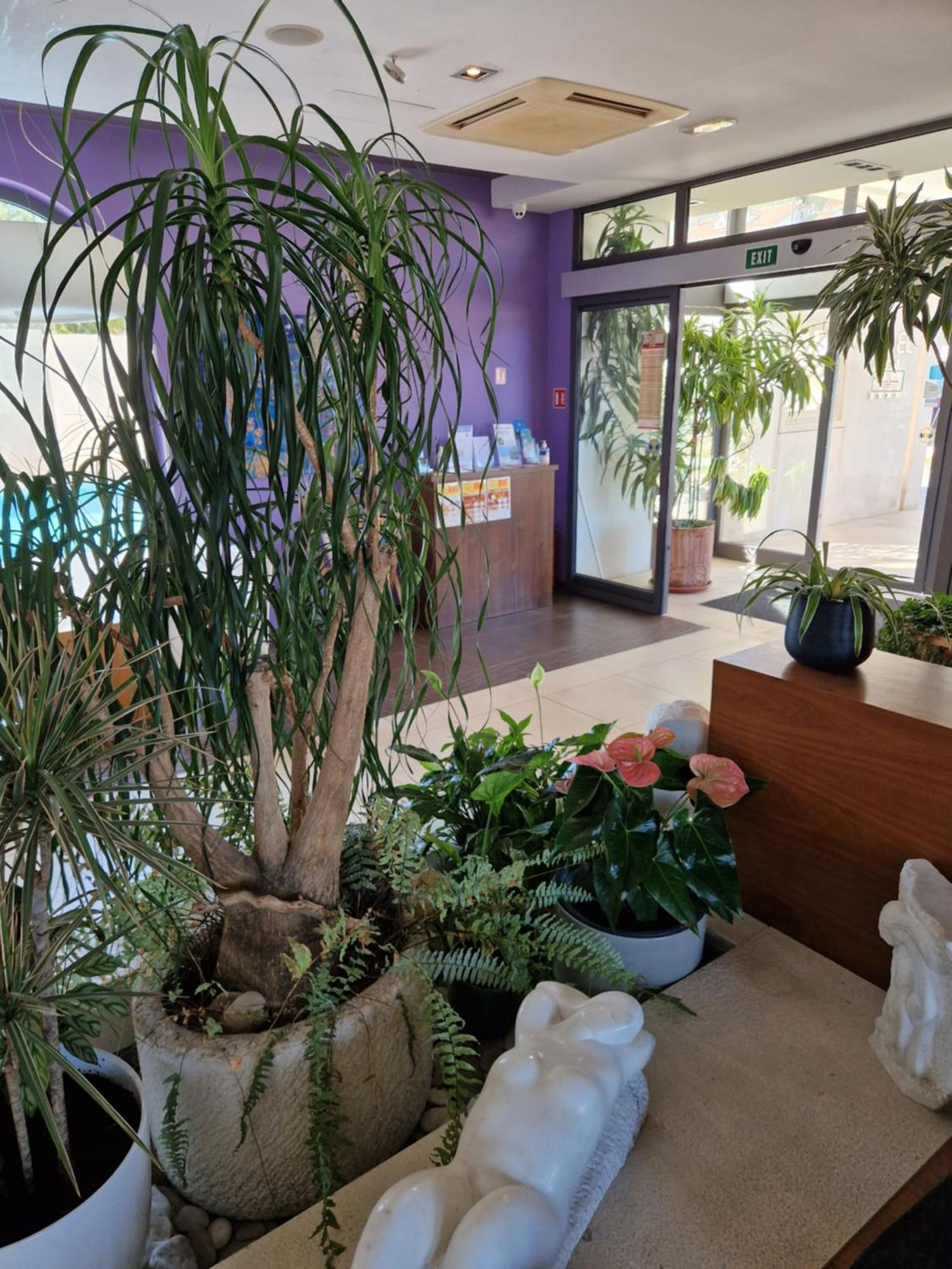 Hotel Lipa Postira Kültér fotó